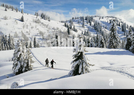 La Giettaz, kleines Tal "Val Arly" (Savoyen, Französische Alpen): bergige Landschaft mit Schnee bedeckt Stockfoto