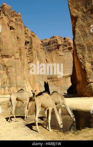 Tschad: das Ennedi Plateau Stockfoto