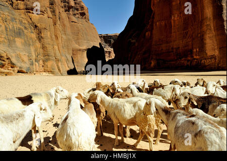 Tschad: das Ennedi Plateau Stockfoto