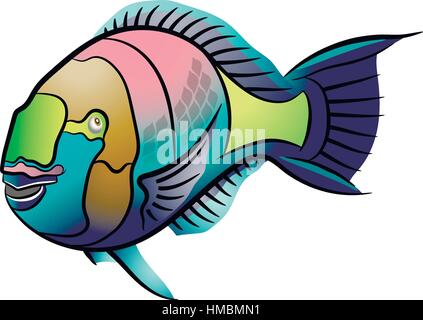 Scarus Ferrugineus, Rusty Papageienfisch, Scarus Fische im Roten Meer Abbildung Stock Vektor