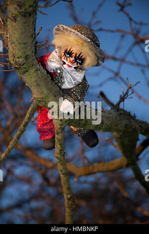 Nahaufnahme eines unheimlich böse Clowns in den Wäldern von hinten entstehen eines Baumes Stockfoto