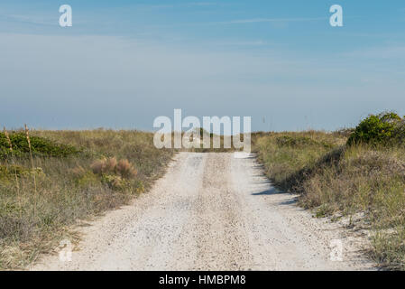 Unbefestigte Straße Rollen über Sanddünen entlang der Golfküste Floridas Stockfoto