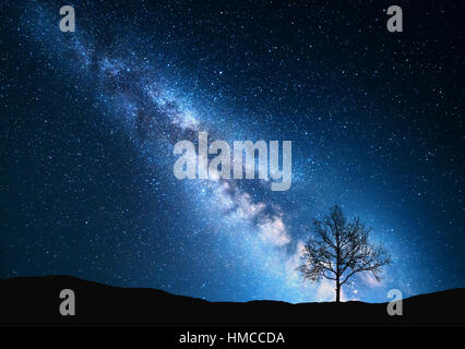 Milchstraße und Baum auf dem Feld. Bäumchen gegen sternenklaren Nachthimmel mit blaue Milchstraße. Nacht-Landschaft. Raum. Galaxy Stockfoto