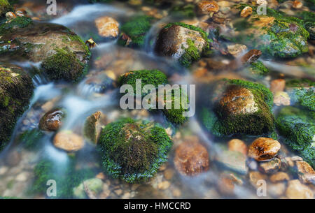 Bunten Steinen mit grünem Moos im Gebirgsfluss. Unscharfe Wasser. Natur-Hintergrund. Herbst. Vintage Tonen. Close-up Stockfoto