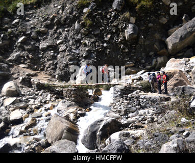 Wanderer über hölzerne anmelden Brücke der Modi Khola-Tal im Annapurna Sanctuary, Himalaya, Nepal, Asien. Stockfoto