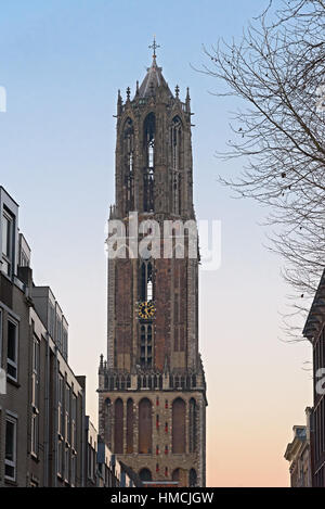 Blick auf die Domtower der St.-Martins-Kathedrale in Utrecht Stockfoto