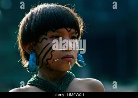 Yanomami Mädchen mit feinen Palm steckt durch ihr Gesicht, traditionelle Symbole der Schönheit, der Amazonas-Regenwald, Venezuela. Stockfoto