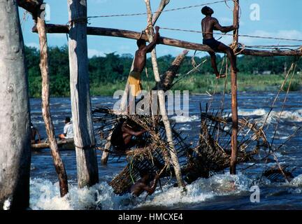 Wagenia Fischer auf dem Gerüst, von dem sie in den Kongo-Fluss Stromschnellen, Reusen senken, Kisangani, demokratische Stockfoto