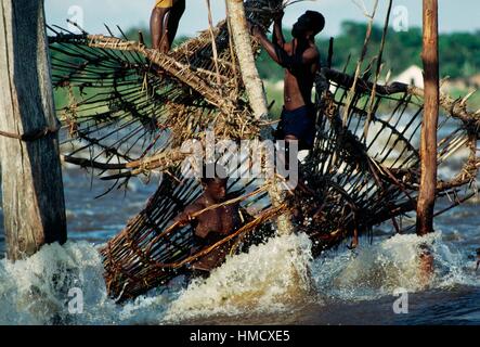 Wagenia Fischer auf dem Gerüst, von dem sie in den Kongo-Fluss Stromschnellen, Reusen senken, Kisangani, demokratische Stockfoto