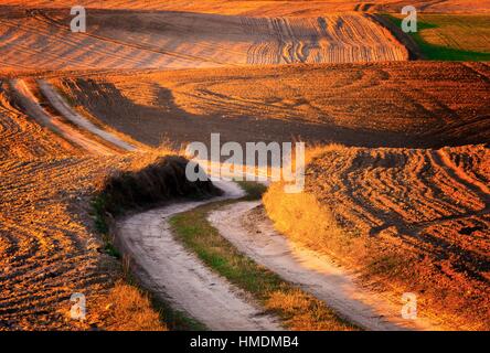 Sandy Landstraße auf gepflügten Felder im Frühling. Schöner Frühling gepflügten Felder und Straßen. Stockfoto