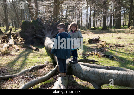 Derbyshire, UK - April 04: Kinder spielen auf einem gefallenen Baumstamm am 18. April bei Longshaw Estate, Peak District, UK Stockfoto