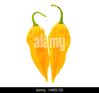 Zwei Reife frische Fatalii yellow Chili Paprika mit grünem Stiel isoliert auf weißem Hintergrund Stockfoto