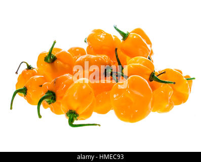 Haufen von gelb orange Reife Habanero hot Chili Peppers. Isoliert auf weiss. Stockfoto