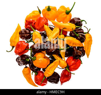 Andere Sorte von Peperoni - eine Reihe von Chilis, isoliert auf weiss. Hot Pepper Sarit Gat, Red Cherry, Cayenne, Serrano, karibischen Habanero Oran Stockfoto