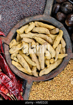 Indian Spice bunt. Heiße rote Paprika, Ingwer, Pfeffer Stockfoto