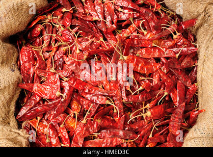 Indian Spice bunt. Heiße rote Paprika Stockfoto
