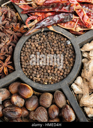 Indian Spice bunt. Heiße rote Paprika, Pfeffer, Ingwer, Anis Stockfoto