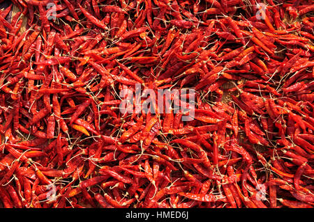 Indian Spice bunt. Heiße rote Paprika Stockfoto