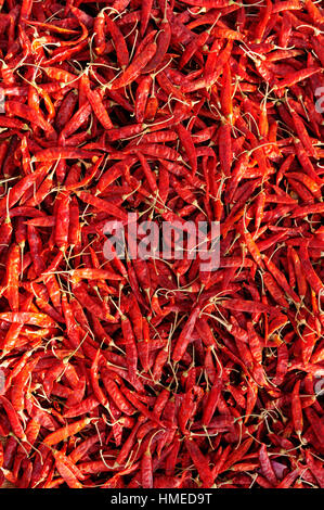 Indian Spice bunt. Heiße rote Paprika Stockfoto