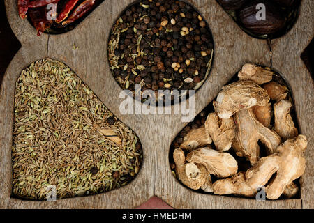 Indian Spice bunt. Heiße rote Paprika, Pfeffer, Ingwer, Anis Stockfoto