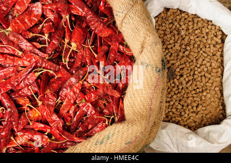 Indian Spice bunt. Heiße rote Paprika Stockfoto