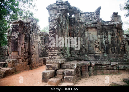 Ta Prohm Tempel in Siem Reap, Kambodscha Stockfoto