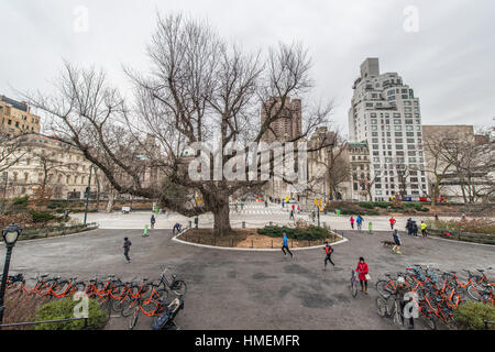 New York Central Park Bike-tour Stockfoto
