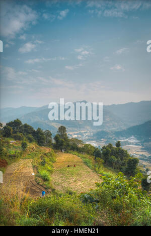 Pokhara - eine Stadt in Zentral-Nepal, das administrative Zentrum der Bezirk Helme, Gandaki Zone und der Western Region. Am Ufer des Phewa Lake Stockfoto