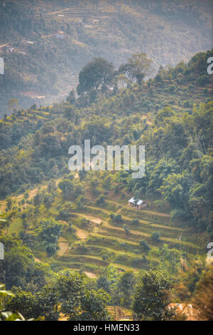 Pokhara - eine Stadt in Zentral-Nepal, das administrative Zentrum der Bezirk Helme, Gandaki Zone und der Western Region. Am Ufer des Phewa Lake Stockfoto