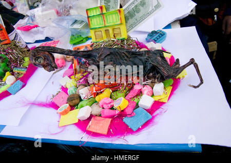 getrocknete Lama-Fötus auf einem Tafelberg in der Hexen-Markt in La Paz, für den Einsatz in Opfer an die Pachamama, Mutter Erde Gottheit Stockfoto