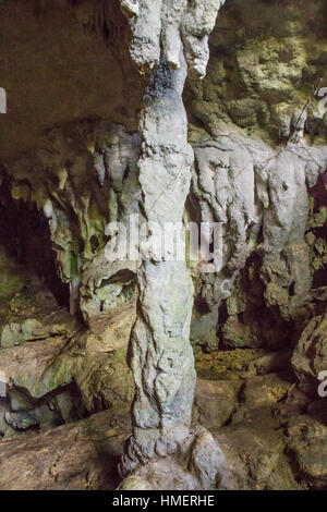 KALKSTEIN-SPALTE IN DER CUEVA VENTANA, ARECIBO, PUERTO RICO - CA. JANUAR 2015. Stockfoto