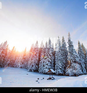 Winterbäume in frost Stockfoto