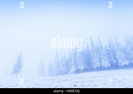 Nebel in den Bergen Stockfoto