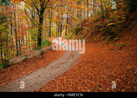 fantastische Herbstlandschaft Stockfoto