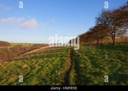 Einem grasbewachsenen Tal in Yorkshire Wolds Landschaft mit Wäldern und Hecken bei blau bewölktem Himmel im winter Stockfoto