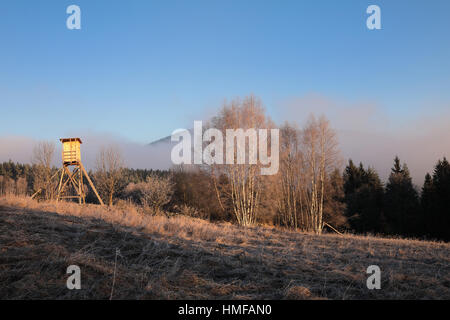 Erhöhten Schuppen Jagd auf Hirsche mitten in einem Wald von Pappeln. Hölzerne Jäger Hochsitz Jäger Morgen rechtzeitig mit Wolken ragen. Beobachtung-pos Stockfoto