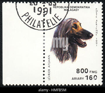 Eine Briefmarke gedruckt in Republica Madagassen zeigt ein Hund Levrier Afghan aus Serie Hunderassen, 1991 Stockfoto