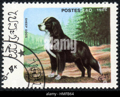 Eine Briefmarke gedruckt in Aos zeigt einen Hund Berner Sennenhund aus Serie Hunderassen, ca. 1986 Stockfoto