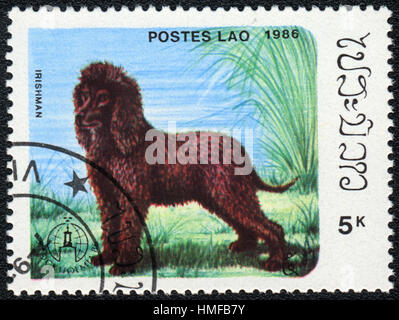 Eine Briefmarke gedruckt in Aos zeigt einen Hund Irish Water Spaniel aus Serie Hunderassen, ca. 1986 Stockfoto