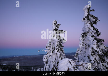 Bunte, frostigen Morgen am Berg Dreisessel in Deutschland. Im Hintergrund Gürtel der Venus Stockfoto