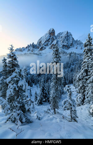 Die hohen Gipfel der Sass De Peitlerkofels rahmt die verschneiten Wälder im Morgengrauen, Passo Delle Erbe, Villnösser Tal, Südtirol, Italien Stockfoto