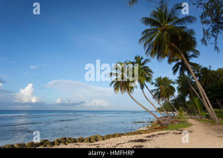 Hastings Strand, Bridgetown, Christ Church, Barbados, West Indies, Karibik, Mittelamerika Stockfoto