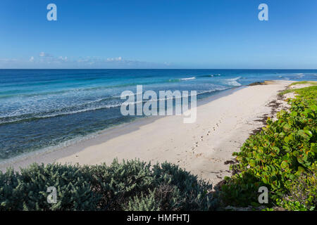 Hastings Strand, Bridgetown, Christ Church, Barbados, West Indies, Karibik, Mittelamerika Stockfoto