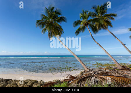 Hastings Strand, Christ Church, Barbados, Karibik, Karibik, Mittelamerika Stockfoto