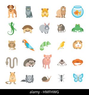 Tiere Haustiere Vektor flach bunte Icons Set. Comic-Illustrationen von verschiedenen Haustieren. Säugetiere, Nagetiere, Amphibien, Insekten, Vögel, Reptilien, Stock Vektor