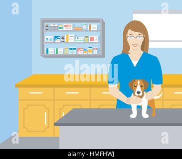 Der junge lächelnde Frau Tierarzt hält einen Hund am Tisch im Veterinäramt flache Vektorgrafik. Haustiere Gesundheitswesen horizontale Banner. Vete Stock Vektor