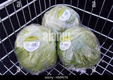 Der Kauf von Eisbergsalat ist auf drei pro Kunde in einem Tesco-Geschäft in Kennington, London, beschränkt, da der Salat zum letzten Grundnahrungsmittel wurde, das der europäischen Gemüsekrise zum Opfer fiel. Stockfoto