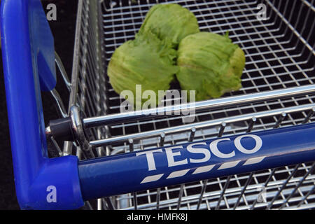 Der Kauf von Eisbergsalat ist auf drei pro Kunde in einem Tesco-Geschäft in Kennington, London, beschränkt, da der Salat zum letzten Grundnahrungsmittel wurde, das der europäischen Gemüsekrise zum Opfer fiel. Stockfoto