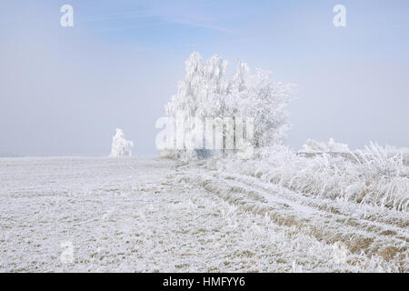 Schnee und winterliche Landschaft Bäume gewickelt im Böhmerwald, Tschechien. Frost bedeckt Wiesen und mattierte Bäume in den Böhmerwald. In Südböhmen. Stockfoto