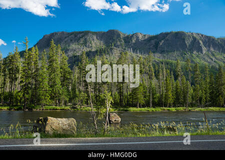 Madison-Laufwerk, Yellowstone-Nationalpark, Wyoming, USA Stockfoto